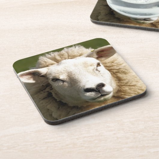 KUSTSCHAPEN BIER ONDERZETTER (Linkerzijde)