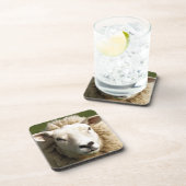 KUSTSCHAPEN BIER ONDERZETTER (Rechterzijde)