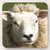 KUSTSCHAPEN BIER ONDERZETTER (Voorkant)