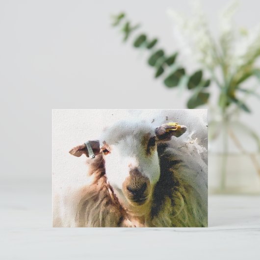 KUSTSCHAPEN BRIEFKAART (Staand voorkant)