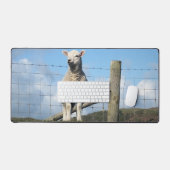 KUSTSCHAPEN BUREAUMAT (Keyboard & Muis)