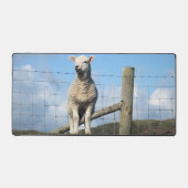 KUSTSCHAPEN BUREAUMAT (Voorkant)