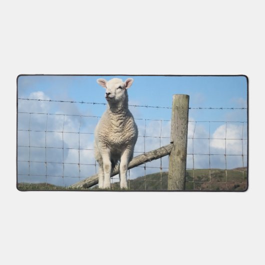 KUSTSCHAPEN BUREAUMAT (Voorkant)