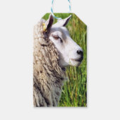 KUSTSCHAPEN CADEAULABEL (Voorkant)