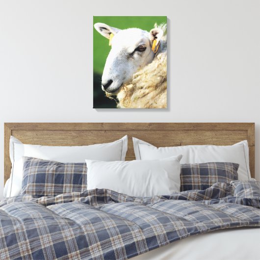 KUSTSCHAPEN CANVAS AFDRUK (Insitu (Slaapkamer))