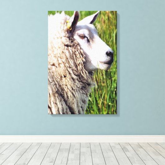 KUSTSCHAPEN CANVAS AFDRUK (Insitu (Houten vloer))