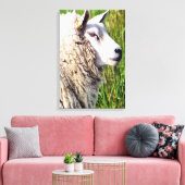 KUSTSCHAPEN CANVAS AFDRUK (Insitu (Woonkamer))