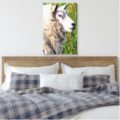 KUSTSCHAPEN CANVAS AFDRUK (Insitu (Slaapkamer))