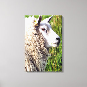 KUSTSCHAPEN CANVAS AFDRUK