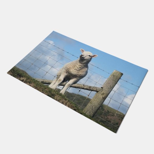 KUSTSCHAPEN DEURMAT (Schuin)