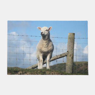 KUSTSCHAPEN DEURMAT