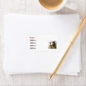 KUSTSCHAPEN ETIKET (Insitu)