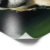 KUSTSCHAPEN FOTO AFDRUK (Hoek)