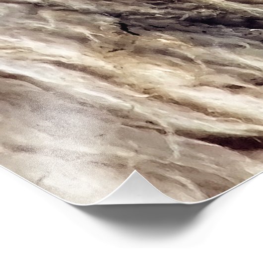 KUSTSCHAPEN FOTO AFDRUK (Hoek)