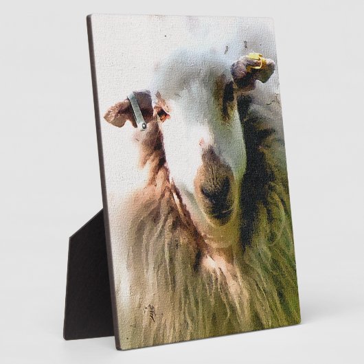 KUSTSCHAPEN FOTOPLAAT (Zijkant)