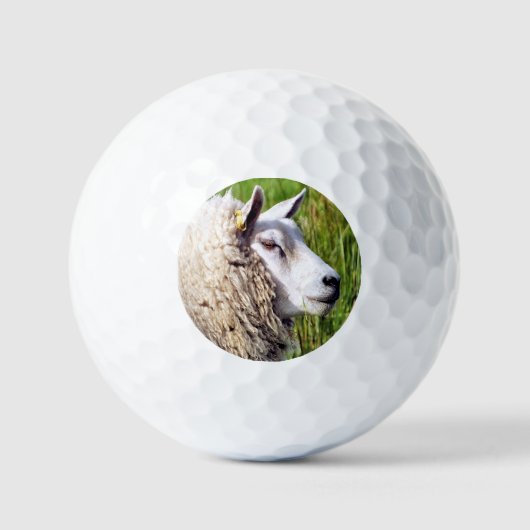 KUSTSCHAPEN GOLFBALLEN (Voorkant)