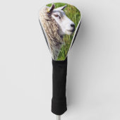 KUSTSCHAPEN GOLFHEADCOVER (Voorkant)