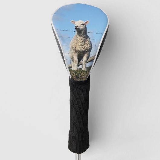 KUSTSCHAPEN GOLFHEADCOVER (Voorkant)