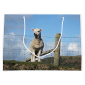 KUSTSCHAPEN GROOT CADEAUZAKJE (Voorkant)