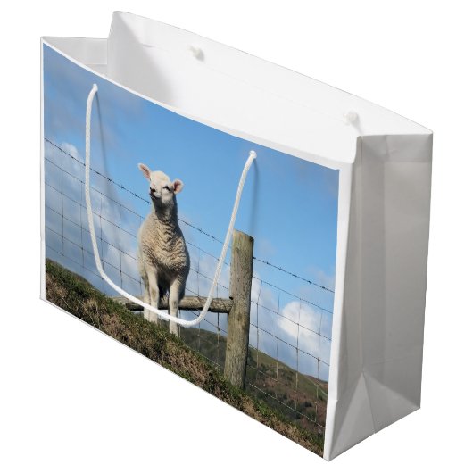 KUSTSCHAPEN GROOT CADEAUZAKJE (Voorkant Gekanteld)