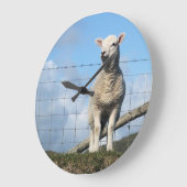 KUSTSCHAPEN GROTE KLOK (Hoek)