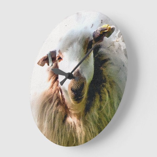 KUSTSCHAPEN GROTE KLOK (Hoek)