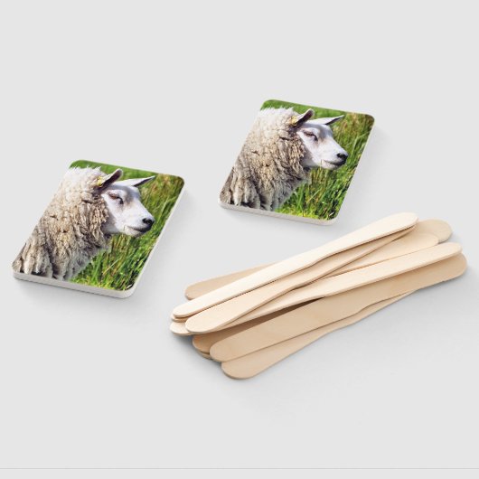 KUSTSCHAPEN HANDWAAIER (Niet-gemonteerd)