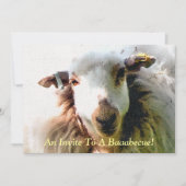 KUSTSCHAPEN KAART (Voorkant)