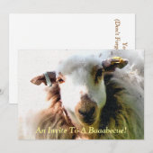 KUSTSCHAPEN KAART (Voorkant / Achterkant)