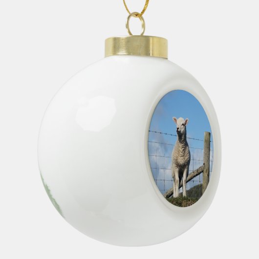 KUSTSCHAPEN KERAMISCHE BAL ORNAMENT (Links)