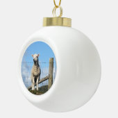 KUSTSCHAPEN KERAMISCHE BAL ORNAMENT (Rechts)