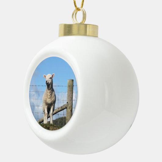 KUSTSCHAPEN KERAMISCHE BAL ORNAMENT (Rechts)