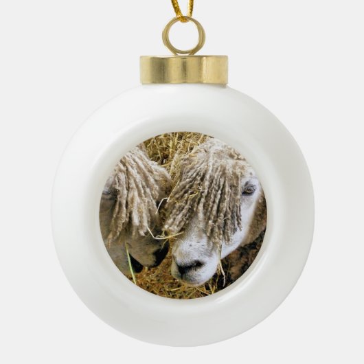 KUSTSCHAPEN KERAMISCHE BAL ORNAMENT (Voorkant)