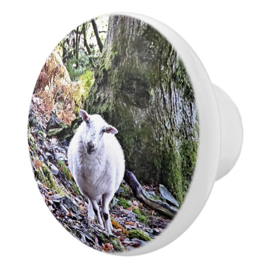 KUSTSCHAPEN KERAMISCHE KNOP (Rechts)