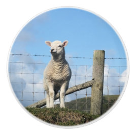 KUSTSCHAPEN KERAMISCHE KNOP