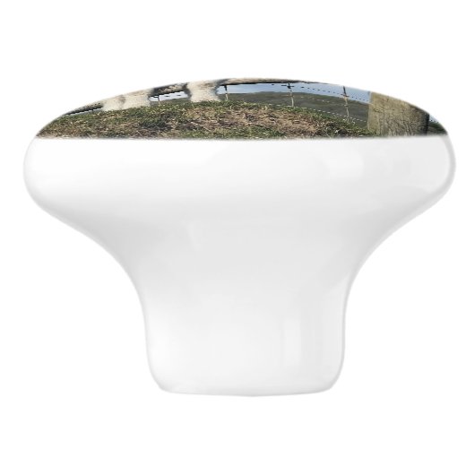 KUSTSCHAPEN KERAMISCHE KNOP (Zijkant)