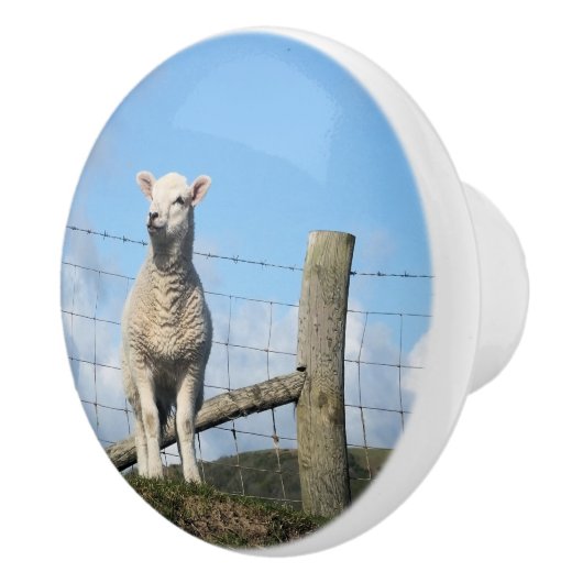 KUSTSCHAPEN KERAMISCHE KNOP (Rechts)