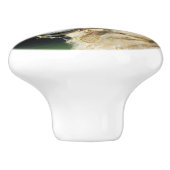 KUSTSCHAPEN KERAMISCHE KNOP (Zijkant)