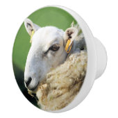 KUSTSCHAPEN KERAMISCHE KNOP (Rechts)