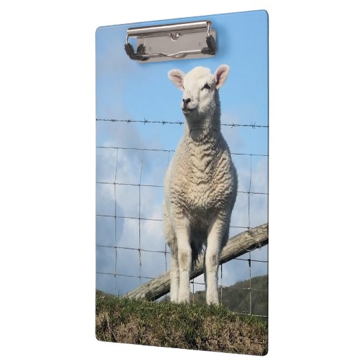 KUSTSCHAPEN KLEMBORD (Links)