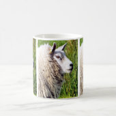 KUSTSCHAPEN KOFFIEMOK (Center)