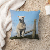 KUSTSCHAPEN KUSSEN (Deken)