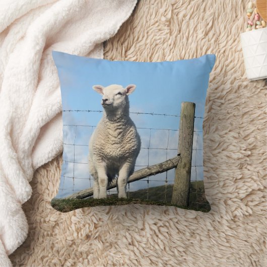 KUSTSCHAPEN KUSSEN (Deken)