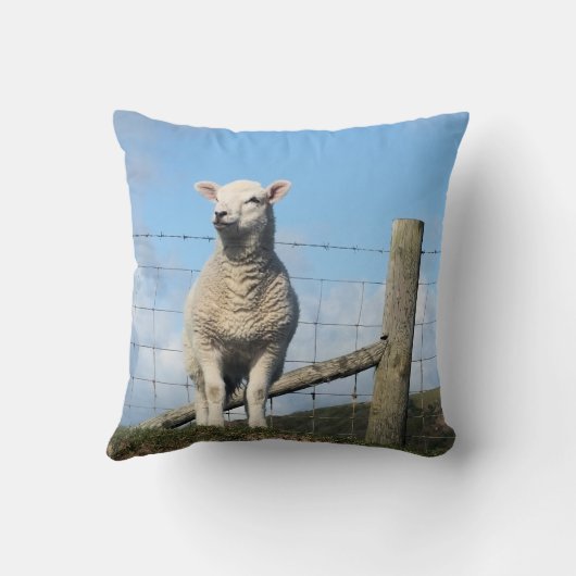 KUSTSCHAPEN KUSSEN (Achterkant)