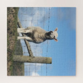 KUSTSCHAPEN LEGPUZZEL (Horizontaal)