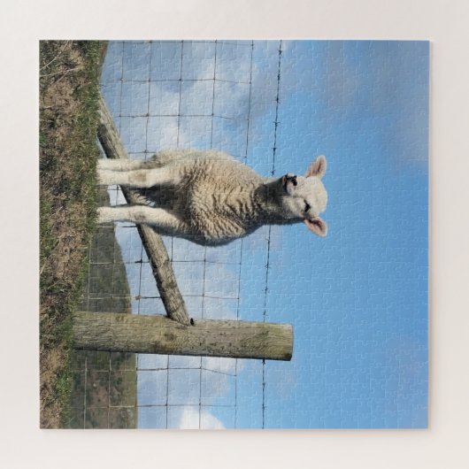 KUSTSCHAPEN LEGPUZZEL (Horizontaal)