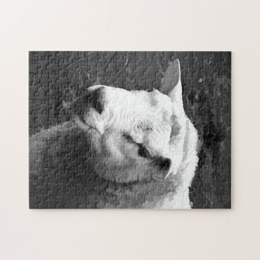 KUSTSCHAPEN LEGPUZZEL (Horizontaal)