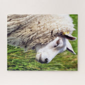 KUSTSCHAPEN LEGPUZZEL (Horizontaal)