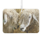 KUSTSCHAPEN LUCHTVERFRISSER (Achterkant)