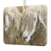 KUSTSCHAPEN LUCHTVERFRISSER (Links)